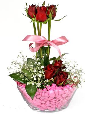 Ankara Ayaş çiçek firmamızdan Camda kırmızı güller Ankara çiçek gönder firması şahane ürünümüz