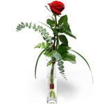 Ankara Ayaş çiçek siparişi sitemizin görsel ürünü Camda sadece tek kırmızı gül Ankara çiçek gönder firması şahane ürünümüz