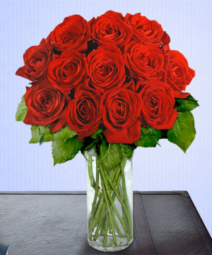 Ostim çiçekçi firması ürünümüz Sevgi belirtisi 12 adet gül Ankara çiçek gönder firması şahane ürünümüz